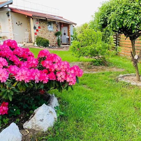 Daire Rodzinny Z Ogrodem *