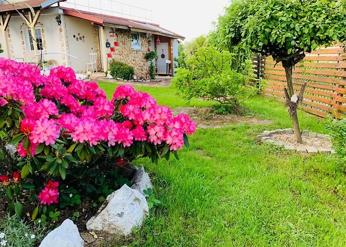 דירה Rodzinny Z Ogrodem *